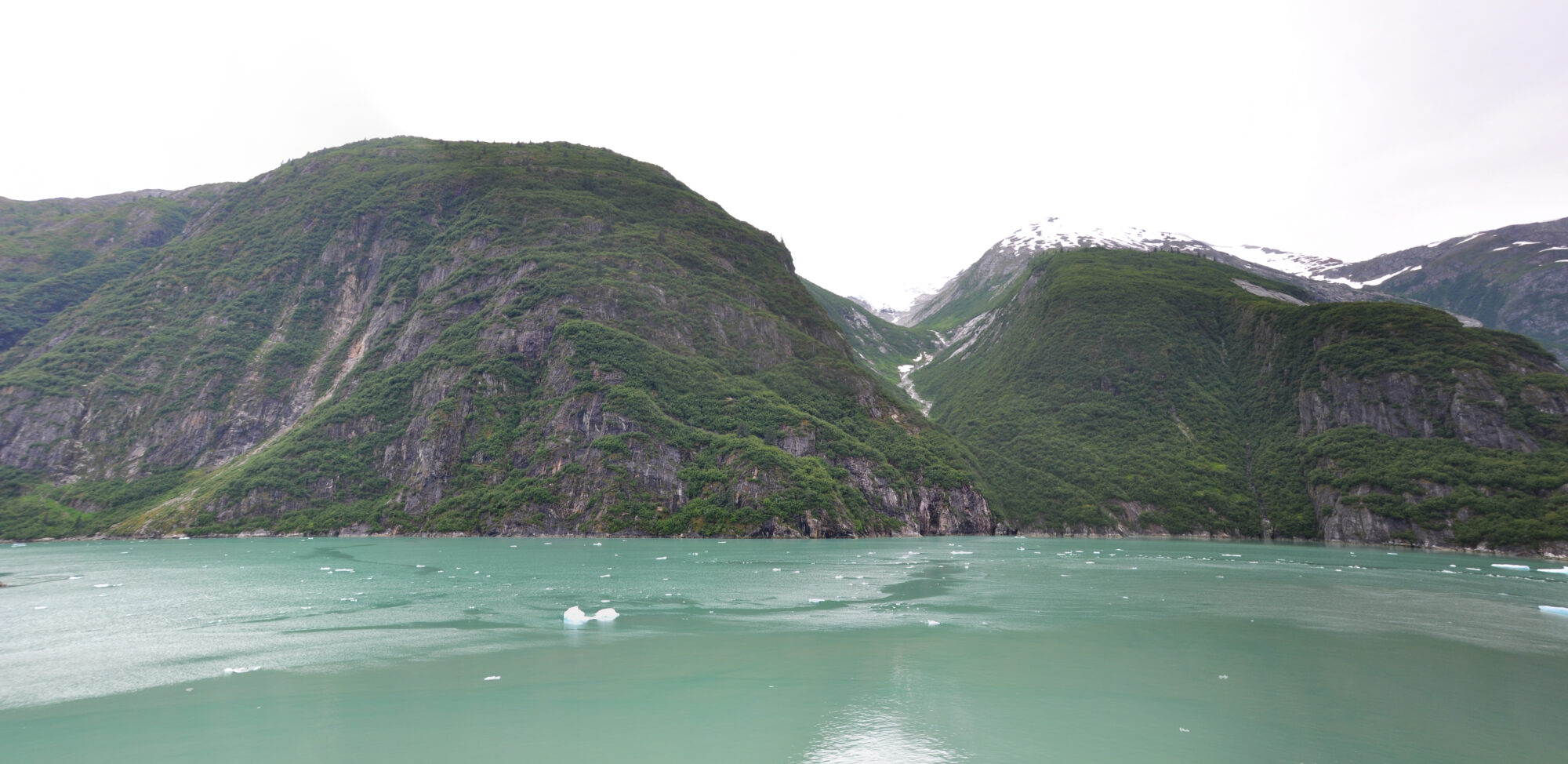 Tracy Arm (04) – Into the fjord
